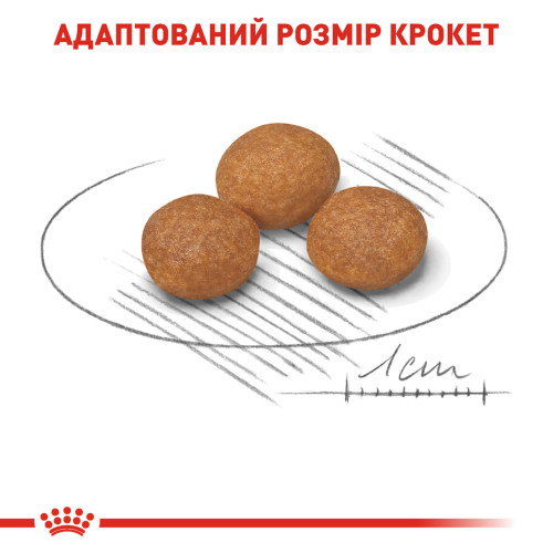 Сухий корм для дорослих собак мініатюрних порід  ROYAL CANIN XSMALL ADULT 8+ (домашня птиця), 3 кг